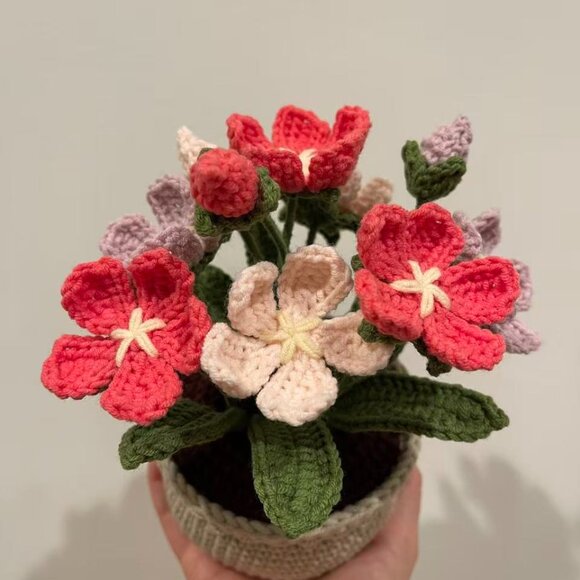 Handmade Crochet Androsace flower Potted Plant - Picture 4 of 5